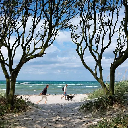 Residenz Am Yachthafen Muschelsucher