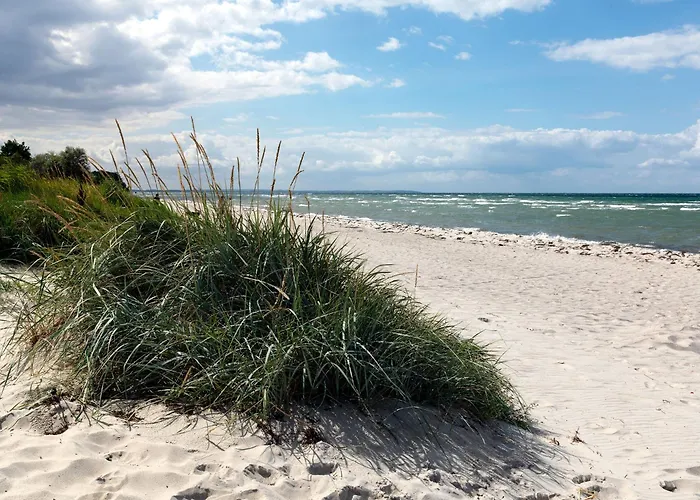Appartement Residenz Am Yachthafen Muschelsucher